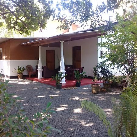 Tusker'S Paradise Safari Villa 达瓦拉维 外观 照片