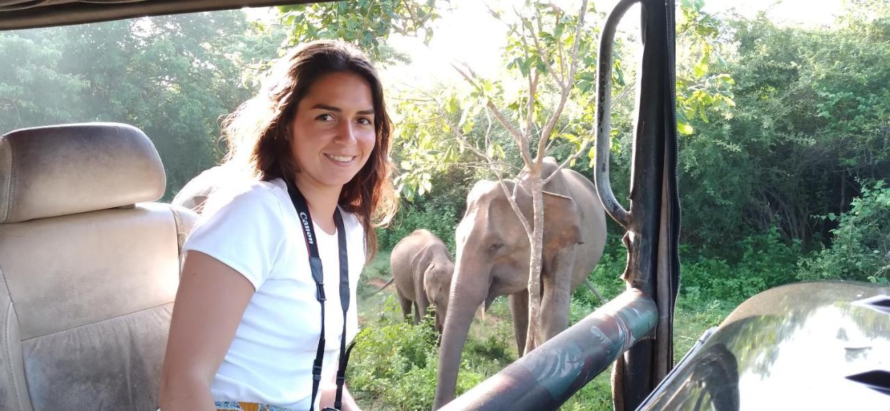 Tusker'S Paradise Safari Villa 达瓦拉维 外观 照片