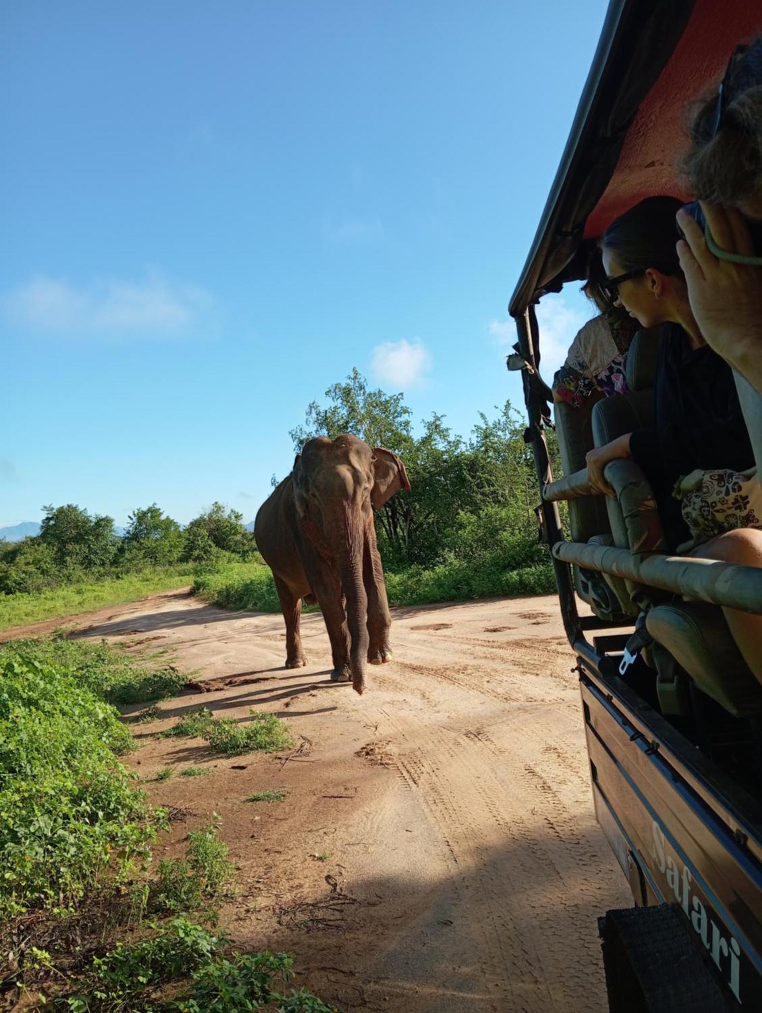 Tusker'S Paradise Safari Villa 达瓦拉维 外观 照片
