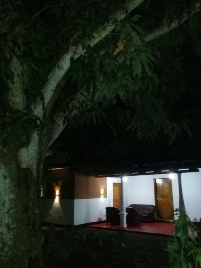 Tusker'S Paradise Safari Villa 达瓦拉维 外观 照片