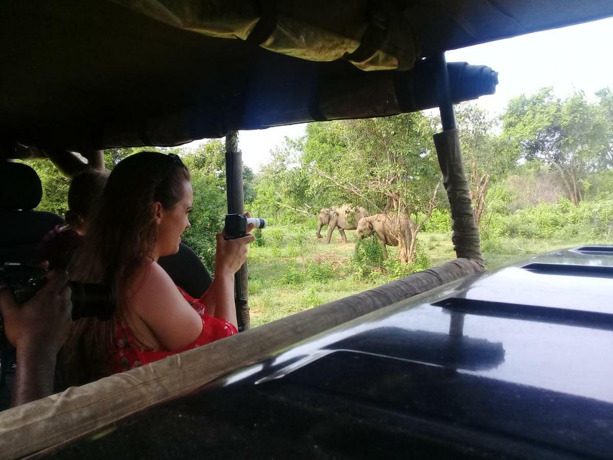 Tusker'S Paradise Safari Villa 达瓦拉维 外观 照片