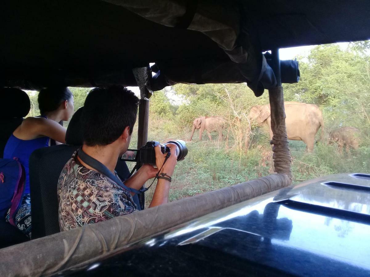 Tusker'S Paradise Safari Villa 达瓦拉维 外观 照片