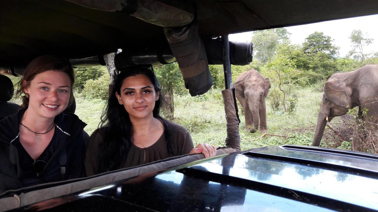 Tusker'S Paradise Safari Villa 达瓦拉维 外观 照片