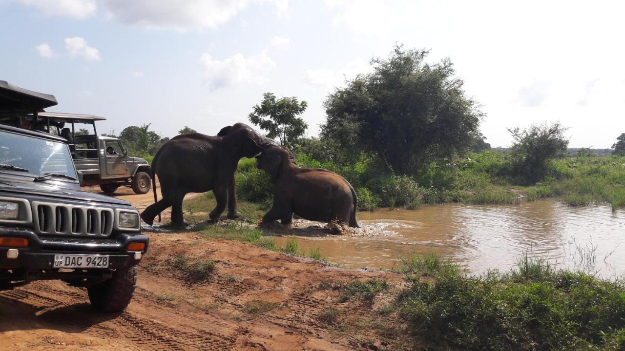 Tusker'S Paradise Safari Villa 达瓦拉维 外观 照片