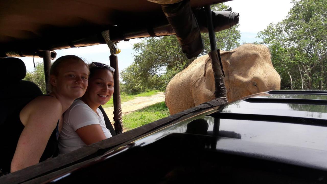 Tusker'S Paradise Safari Villa 达瓦拉维 外观 照片