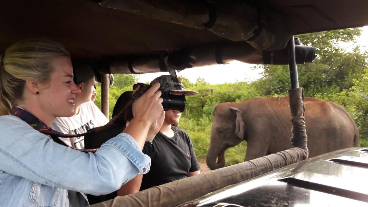Tusker'S Paradise Safari Villa 达瓦拉维 外观 照片